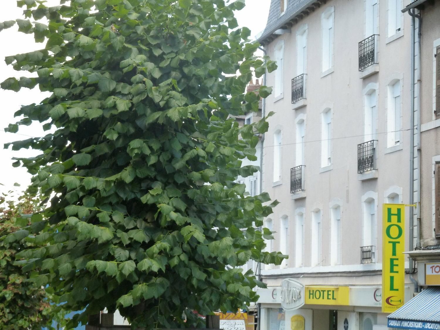 Hotel Concorde - Rodez Centre Ville Ngoại thất bức ảnh